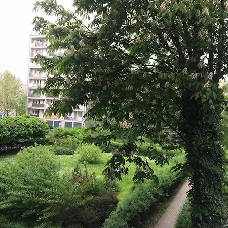 Apartment Bright And Cozy Near Park, With A Huge Terrace.